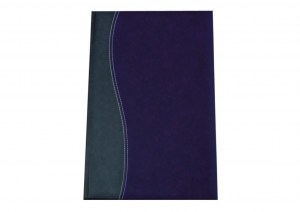 page-a-day-deluxe-two-tone-blue9